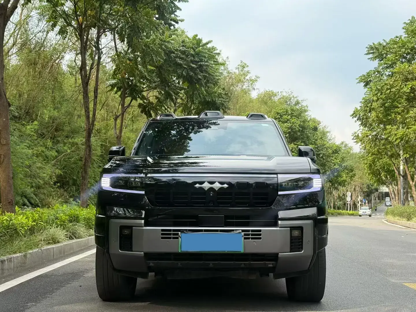 2025 FANGCHENGBAO BAO thumbnail 2