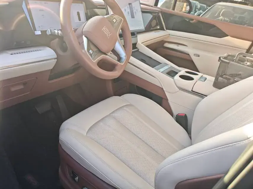 2025 BYD XIA thumbnail 3