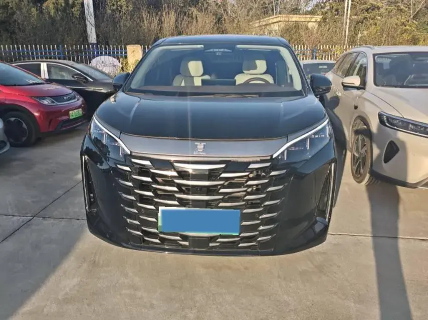 2025 BYD XIA thumbnail 2