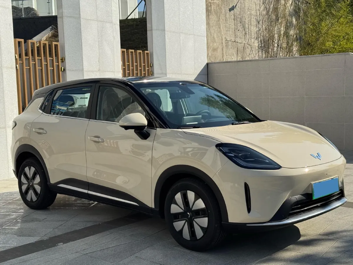 2025 WuLing BinGuo S BEV,autocango,china used car exporter,china ev exporter,chinese used car exporter,chinese used ev exporter