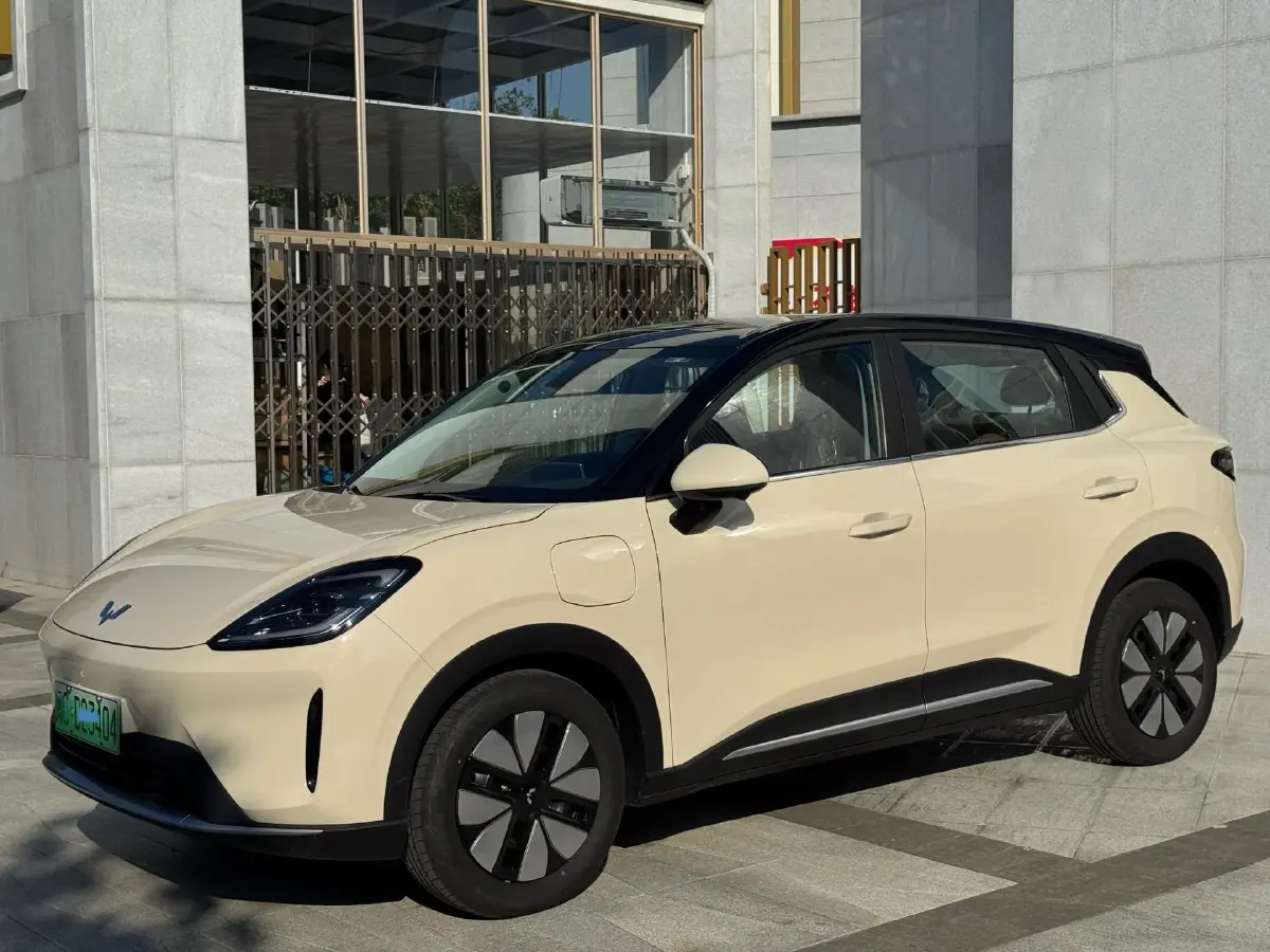 2025 WuLing BinGuo S BEV