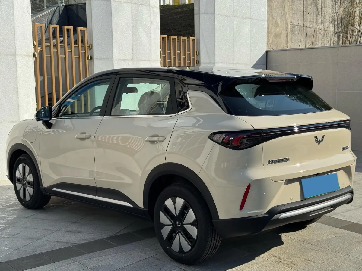 2025 WuLing BinGuo S BEV,autocango,china used car exporter,china ev exporter,chinese used car exporter,chinese used ev exporter