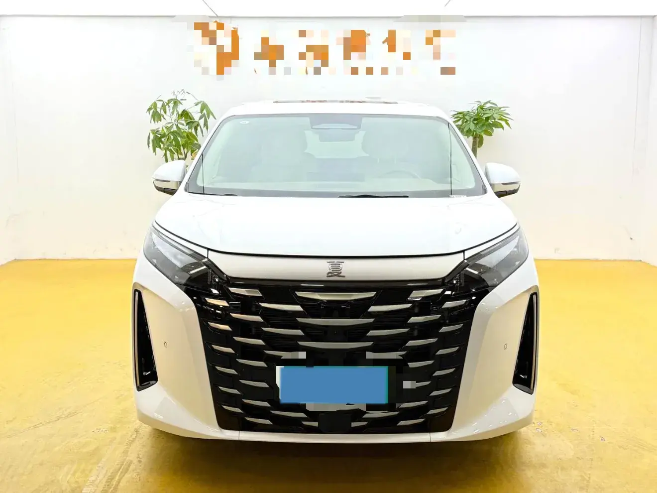 2025 BYD XIA thumbnail 2