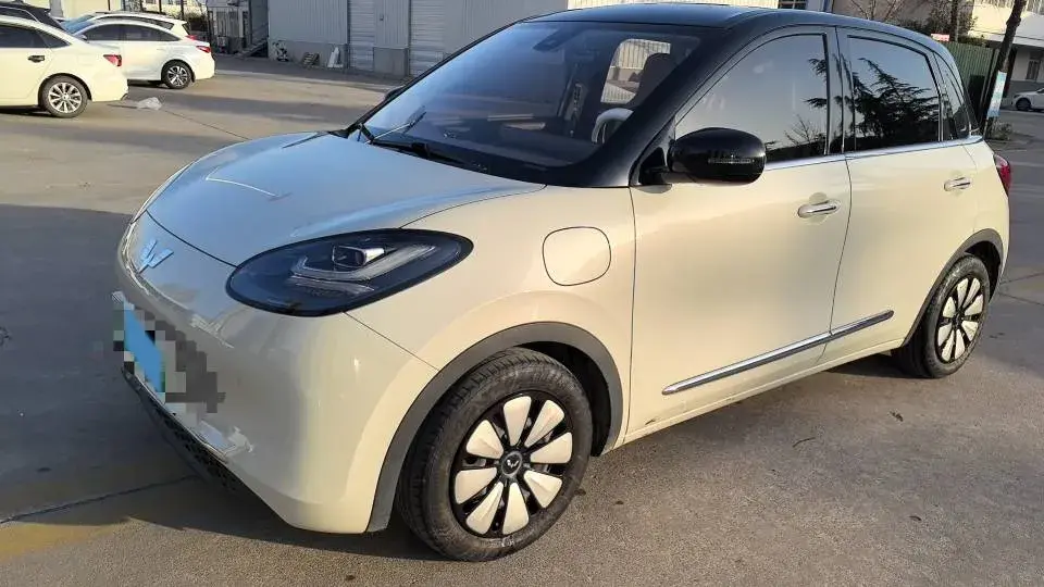 2023 WuLing BinGuo BEV 31.9KWH