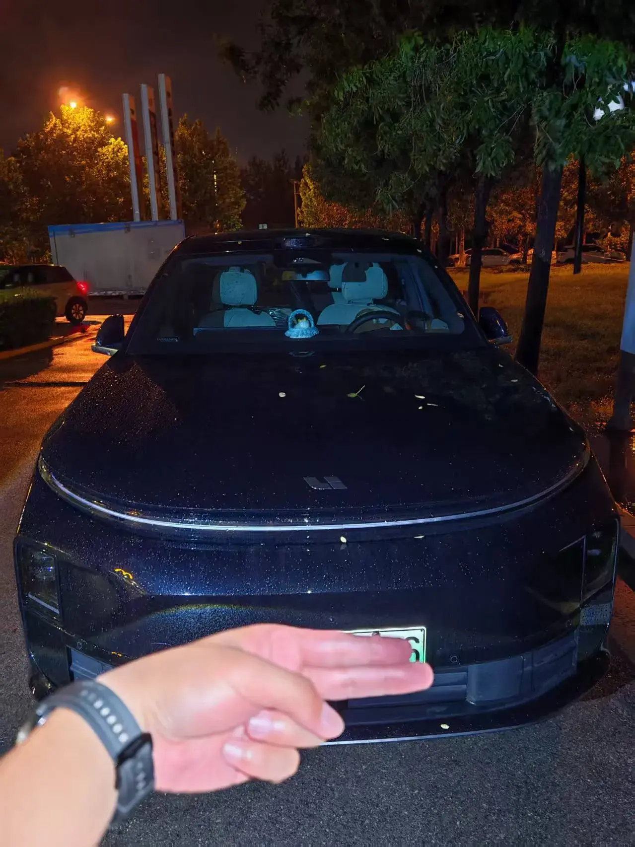 2025 LI L6 thumbnail 2