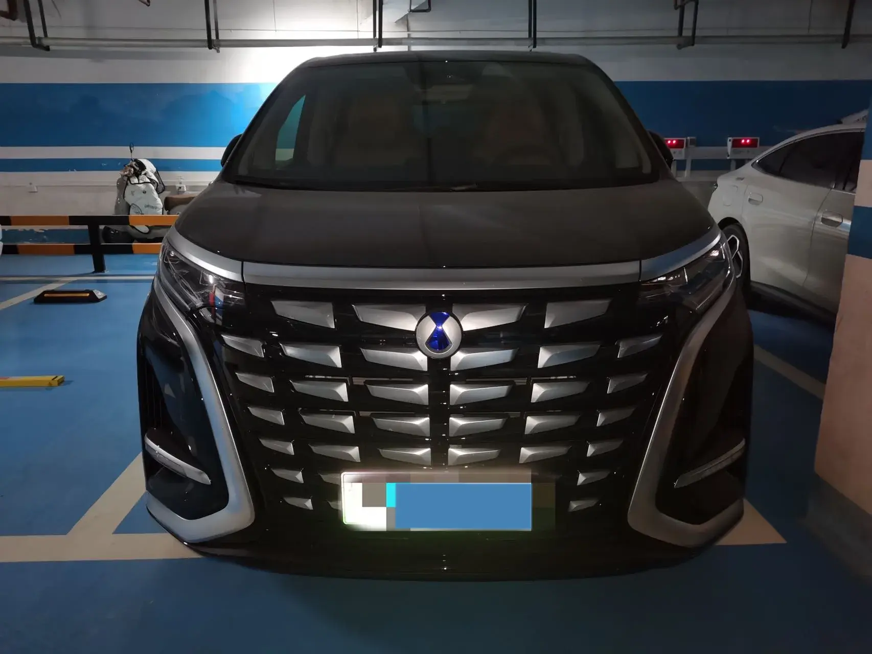 2024 DENZA D9 thumbnail 2