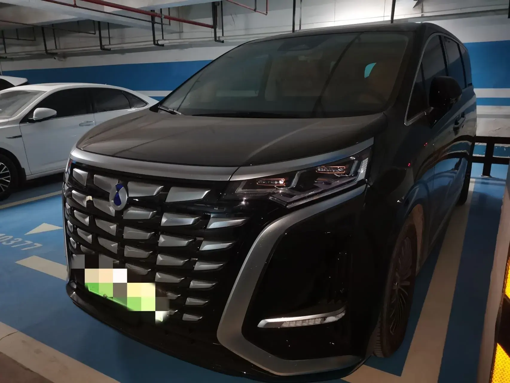 2024 DENZA D9 view 1