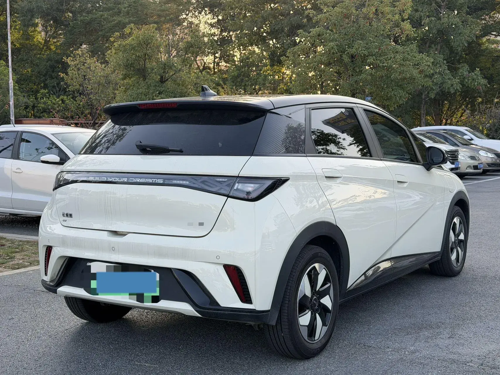 2024 BYD DOLPHIN thumbnail 4