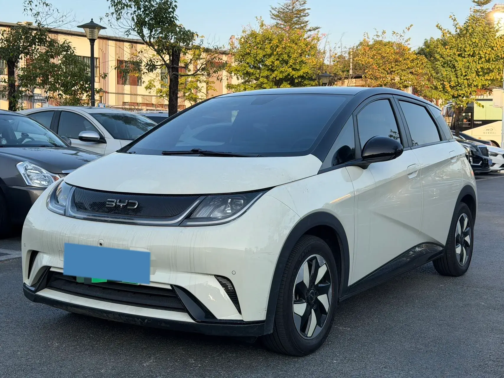 2024 BYD DOLPHIN view 1
