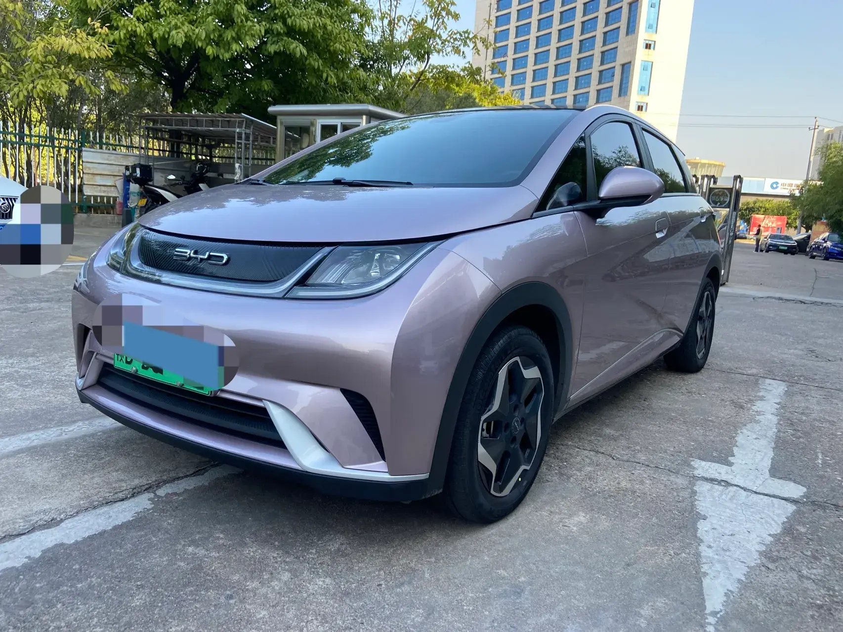 2021 BYD DOLPHIN view 1