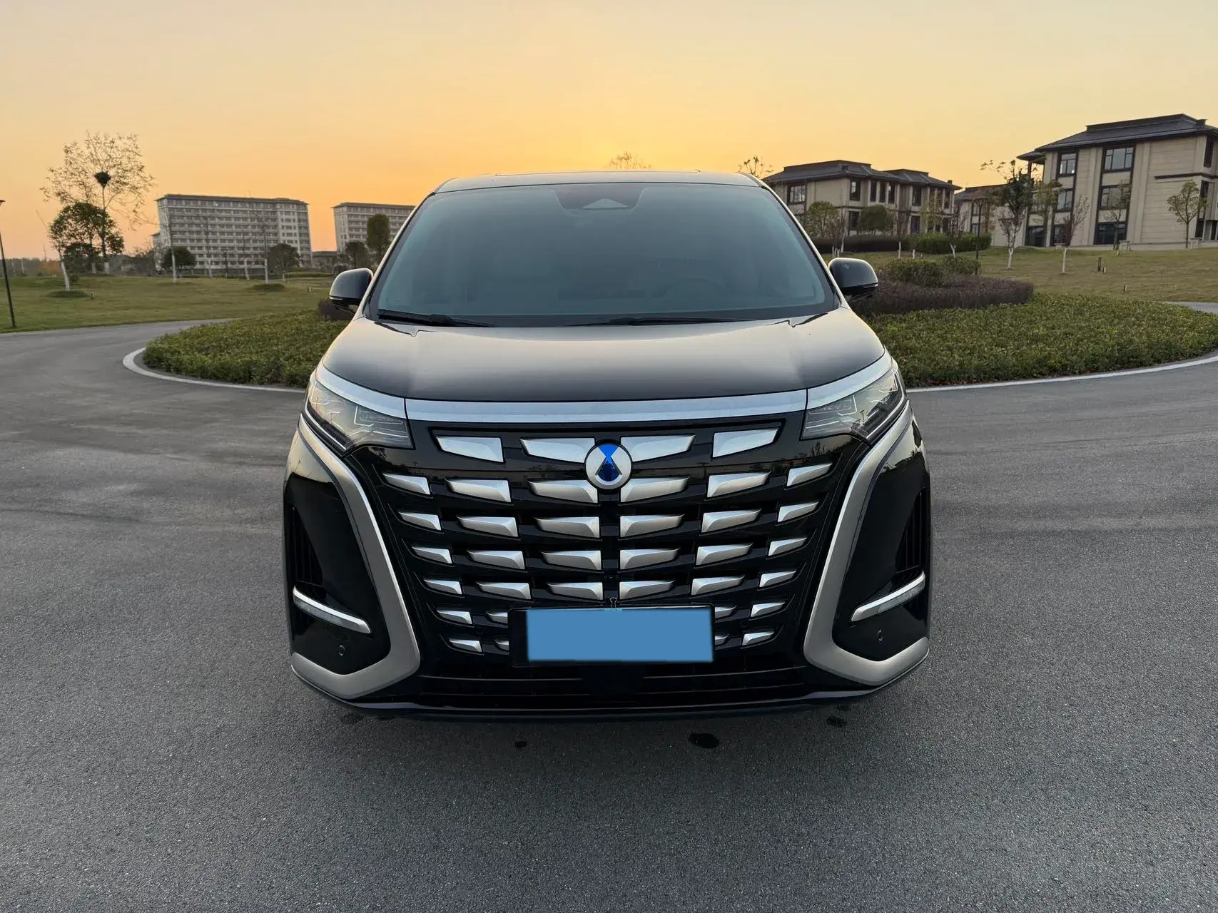 2022 DENZA D9 thumbnail 2