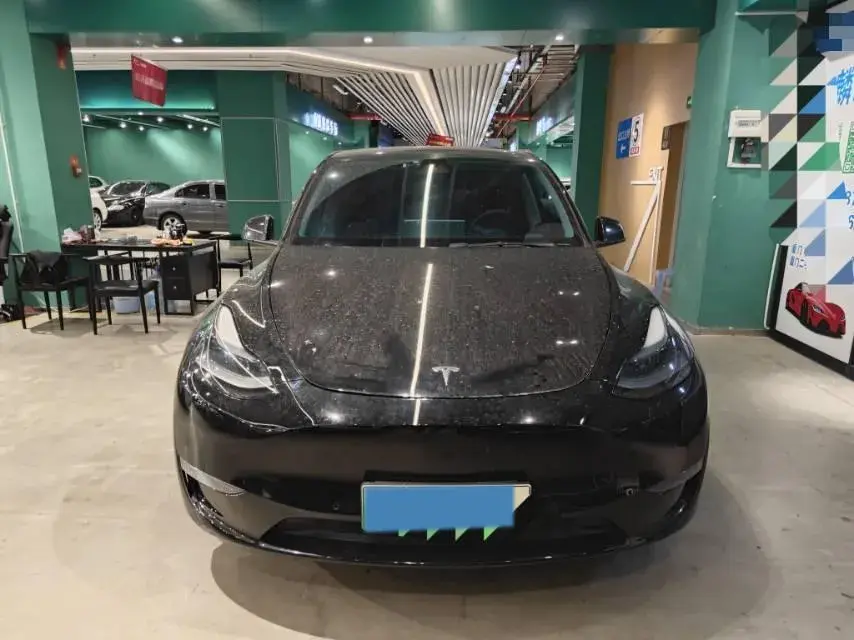 2021 TESLA MODEL thumbnail 3