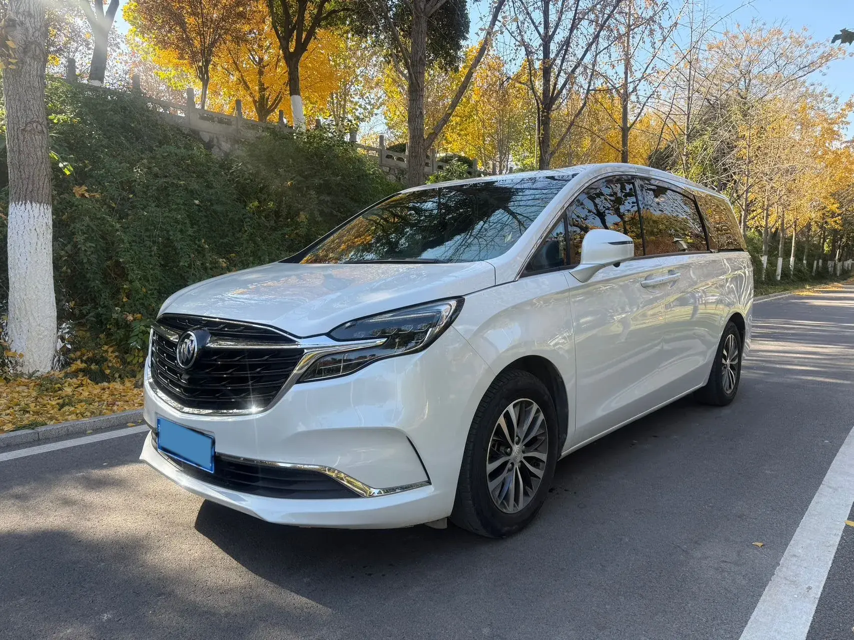 2021 BUICK GL8 view 1