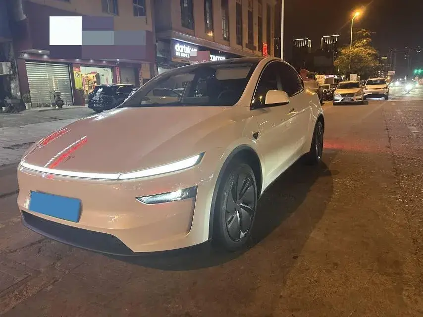 2025 TESLA MODEL view 1