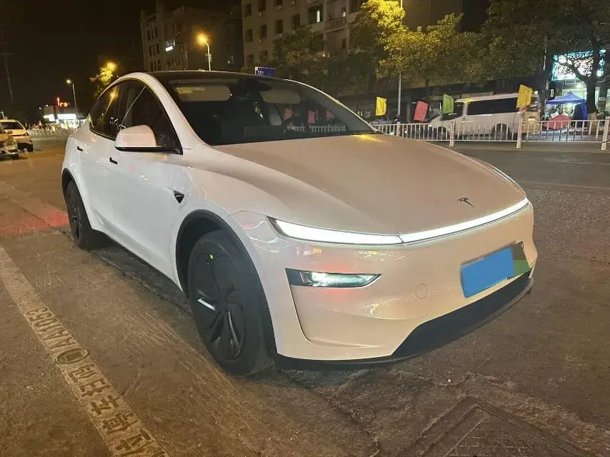 2025 TESLA MODEL thumbnail 2