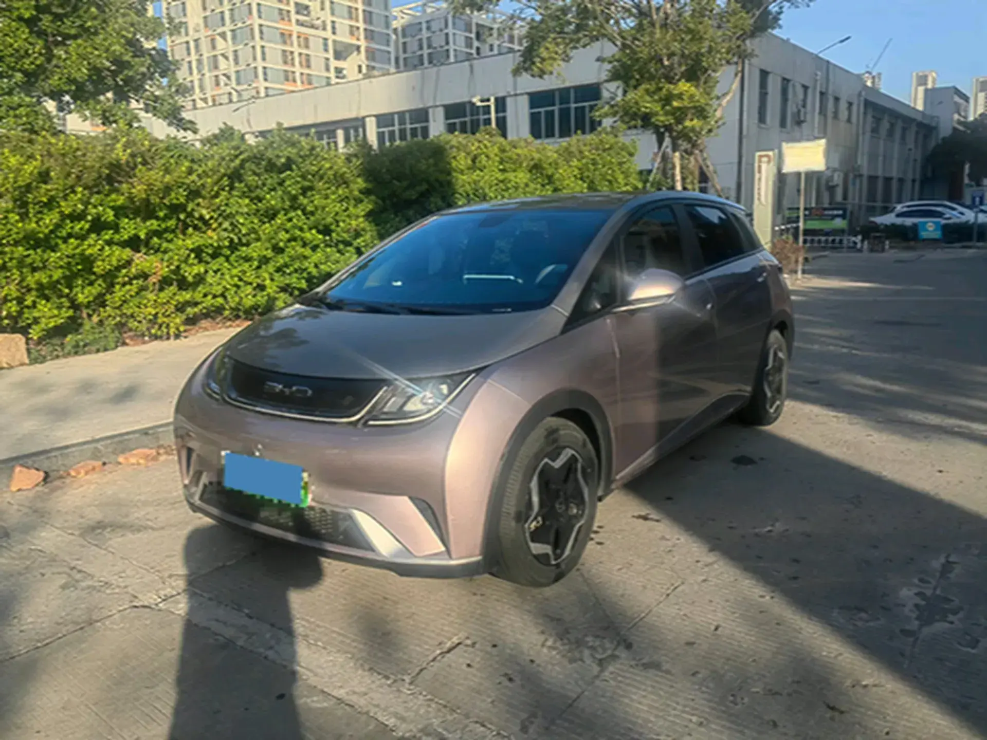 2021 BYD DOLPHIN view 1