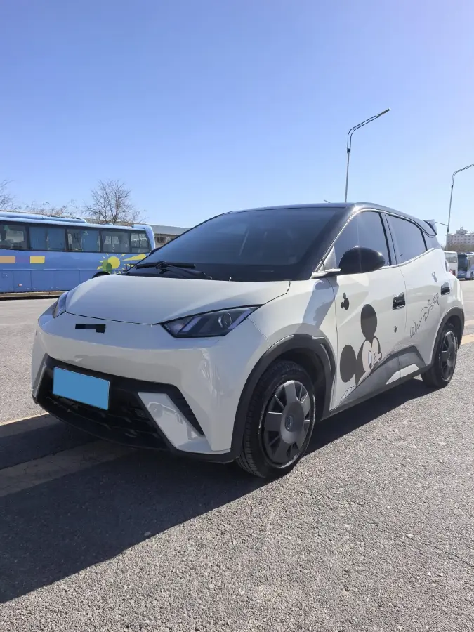 2024 BYD Seagull BEV 30.08KWH