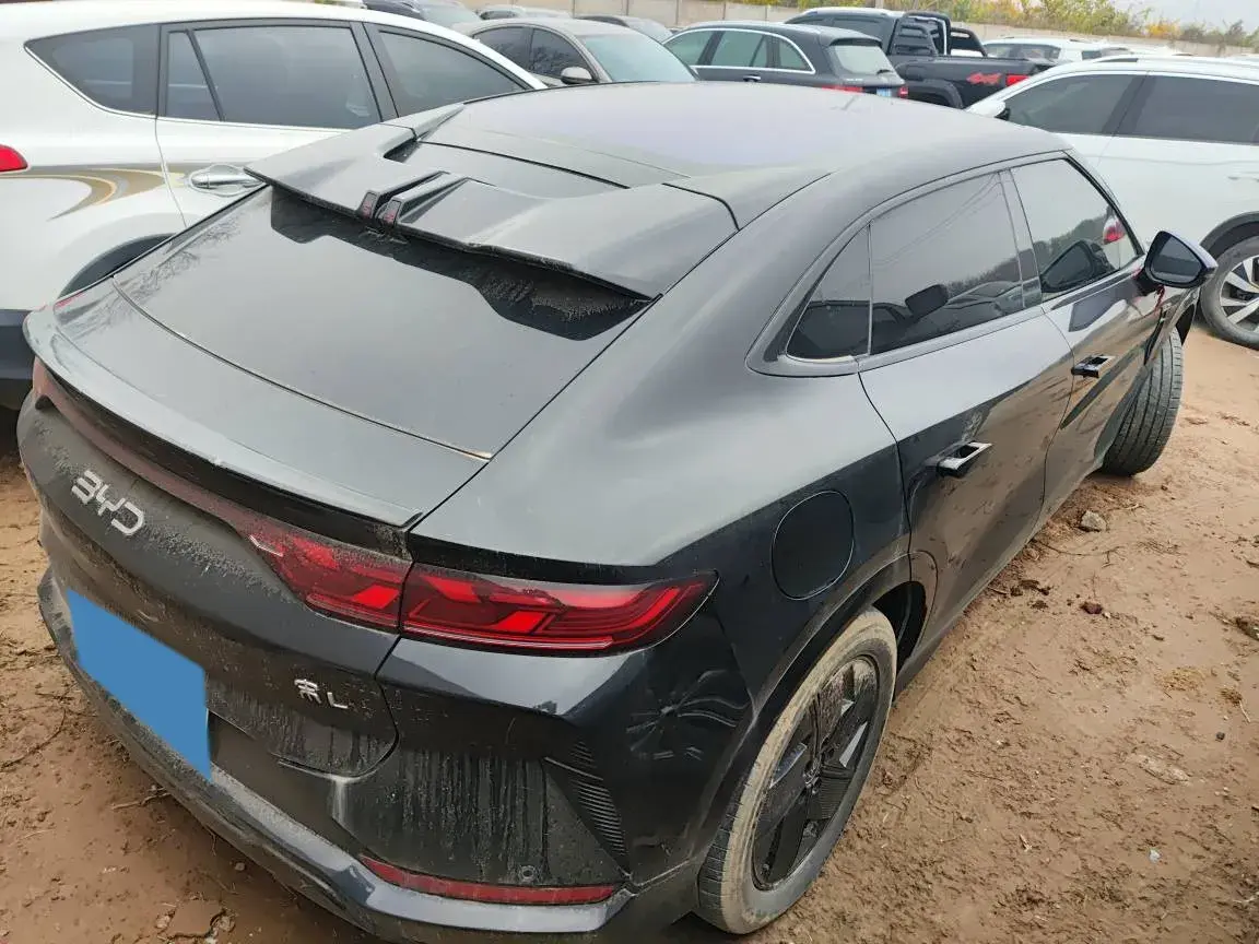 2024 BYD SONGL thumbnail 2