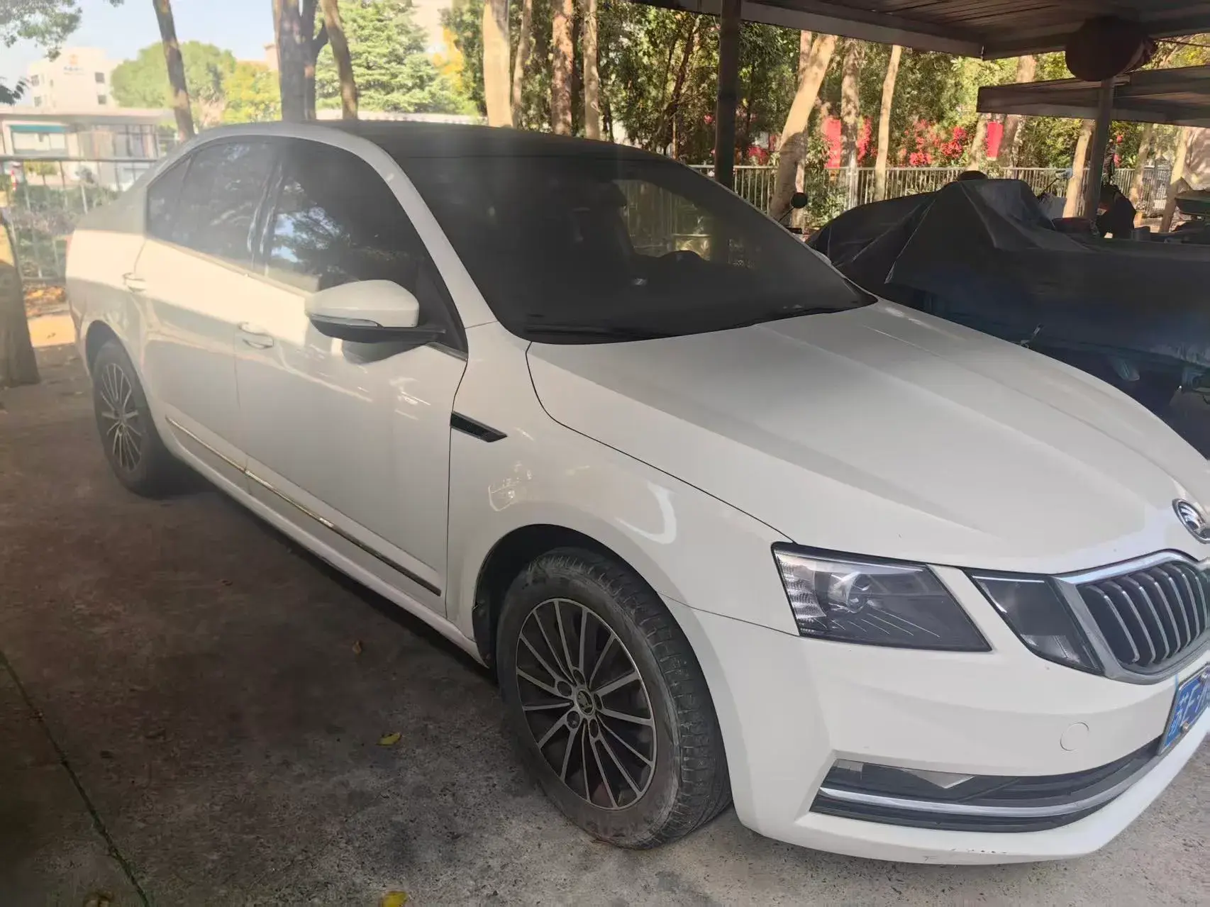 2019 SKODA OCTAVIA thumbnail 2