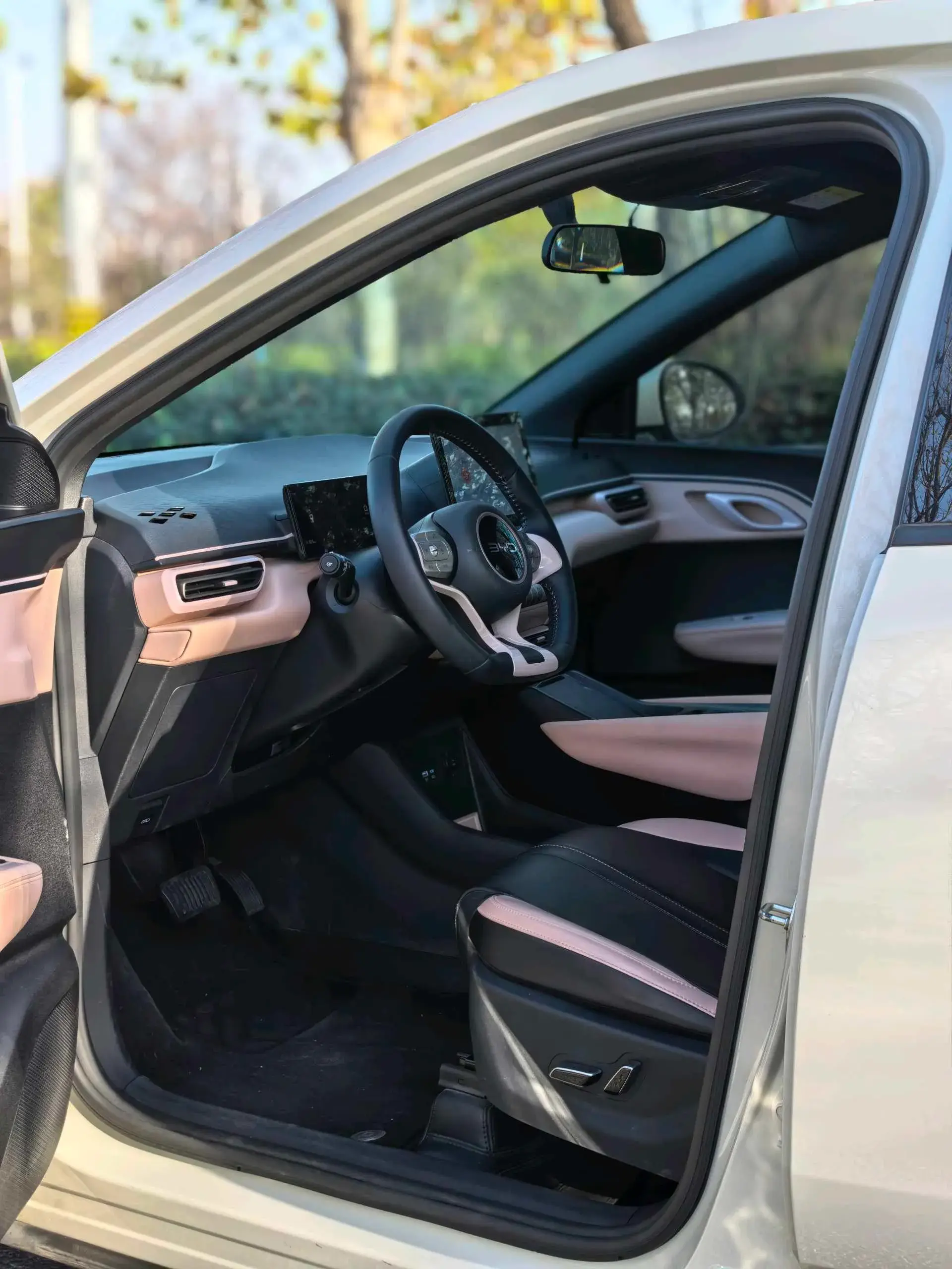 2025 BYD SEAGULL thumbnail 2