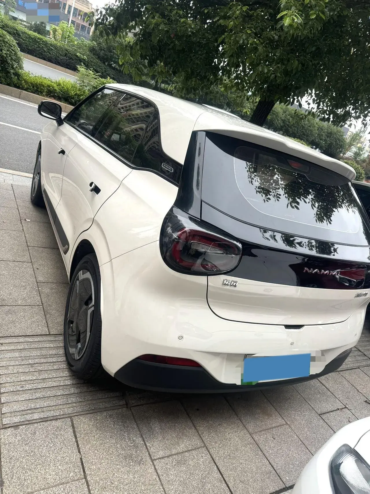 2024 DONGFENG NAMMI thumbnail 4