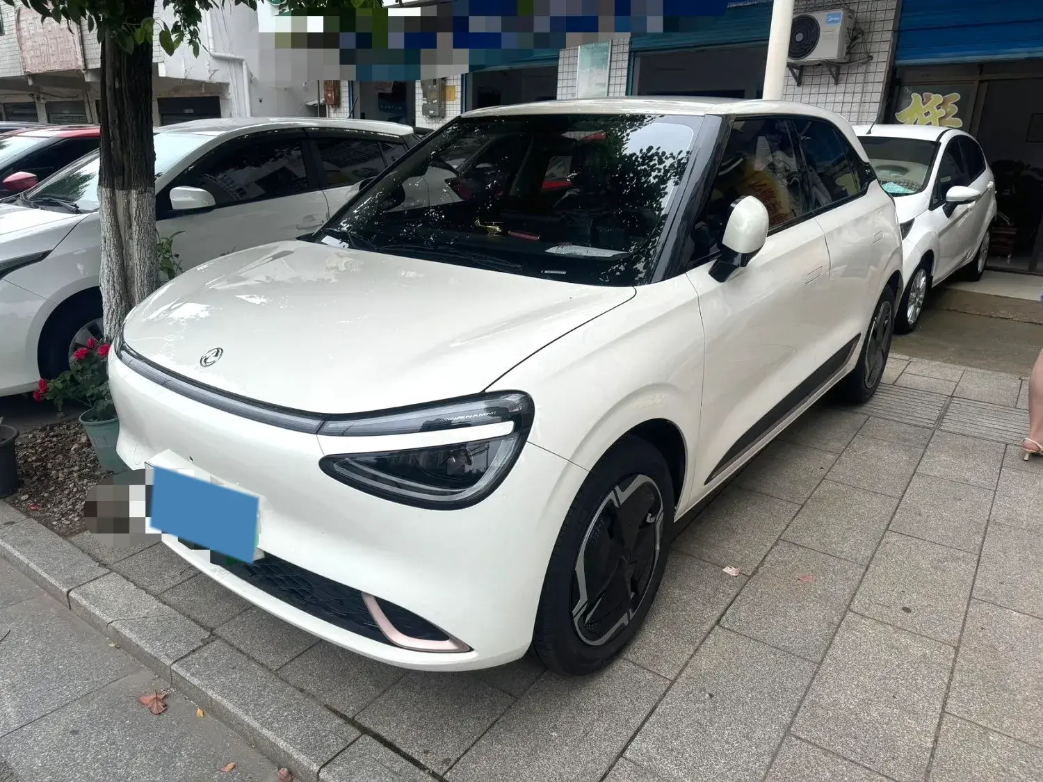 2024 DONGFENG NAMMI view 1