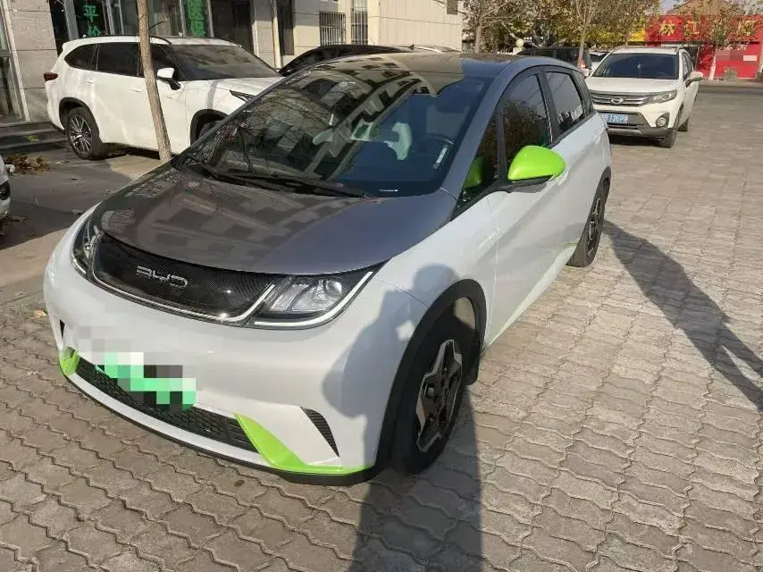 2021 BYD DOLPHIN view 1