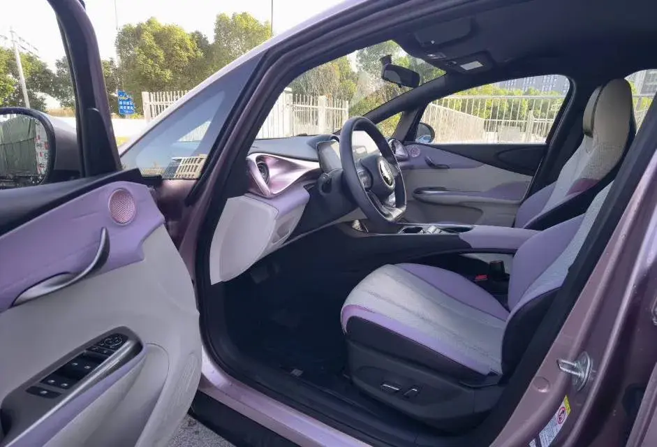 2024 BYD DOLPHIN thumbnail 2