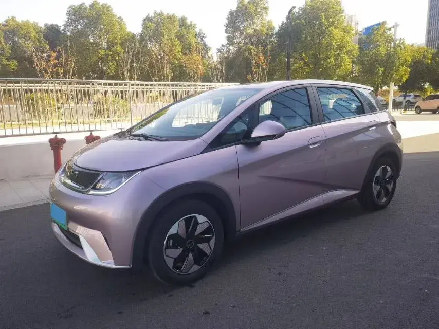 2024 BYD DOLPHIN view 1