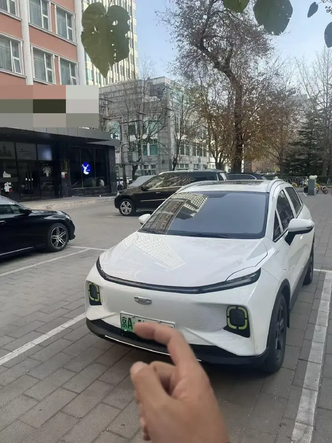 2023 Geometry E BEV 39.4KWH