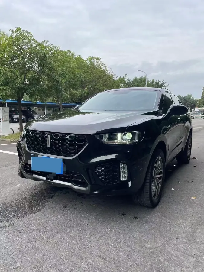2019 WEY VV5 2.0T 197HP L4 7DCT,autocango,china used car exporter,china ev exporter,chinese used car exporter,chinese used ev exporter