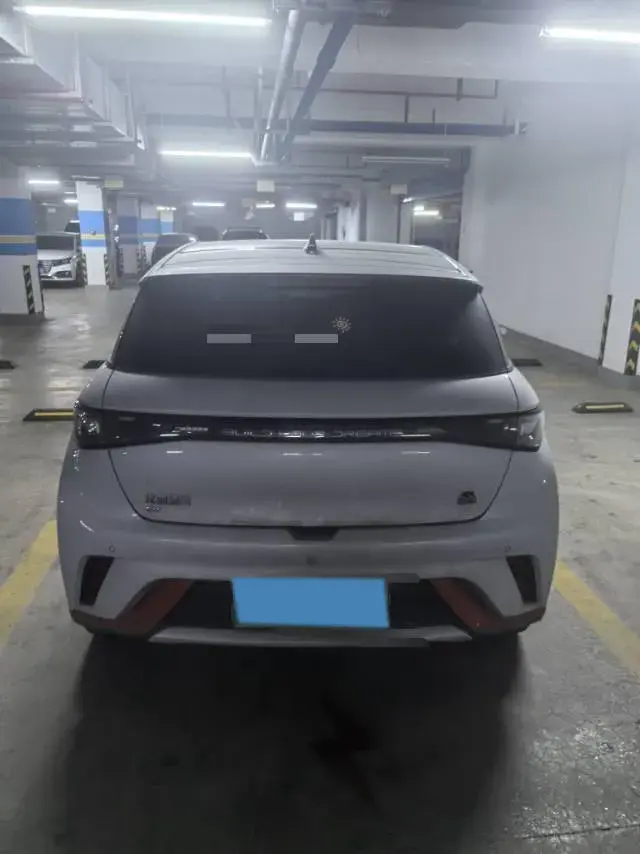 2021 BYD DOLPHIN thumbnail 3