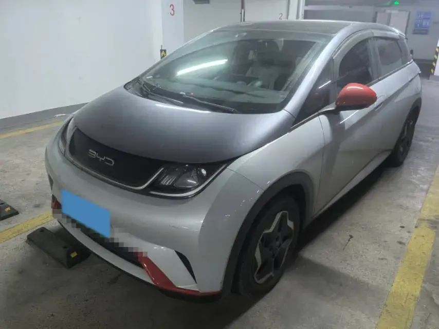 2021 BYD DOLPHIN view 1