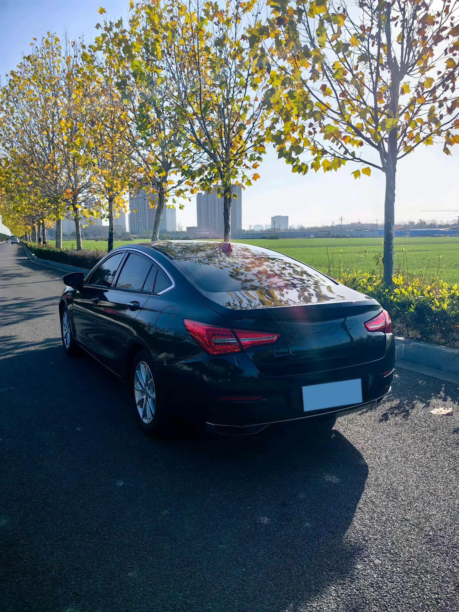 2019 HONGQI H5 thumbnail 4