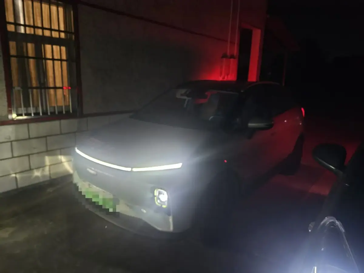 2022 Geometry E BEV 39.4KWH