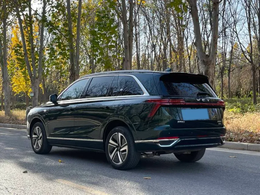 2025 WEY BlueMountain 1.5T 170HP L4 4DHT PHEV 44.5KWH,autocango,china used car exporter,china ev exporter,chinese used car exporter,chinese used ev exporter