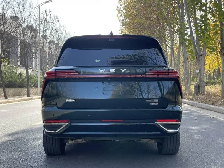 2025 WEY BlueMountain 1.5T 170HP L4 4DHT PHEV 44.5KWH,autocango,china used car exporter,china ev exporter,chinese used car exporter,chinese used ev exporter