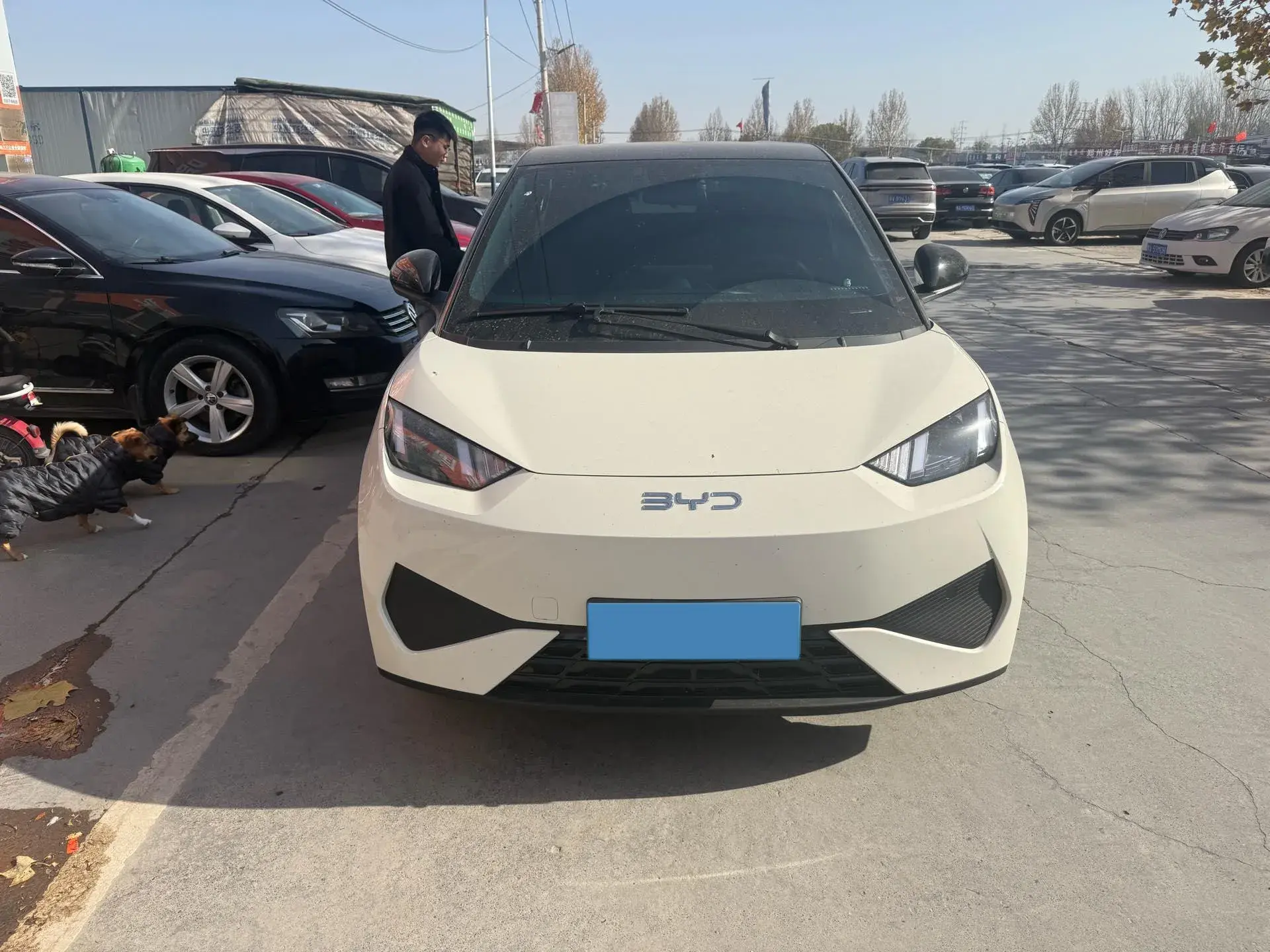 2025 BYD SEAGULL thumbnail 3