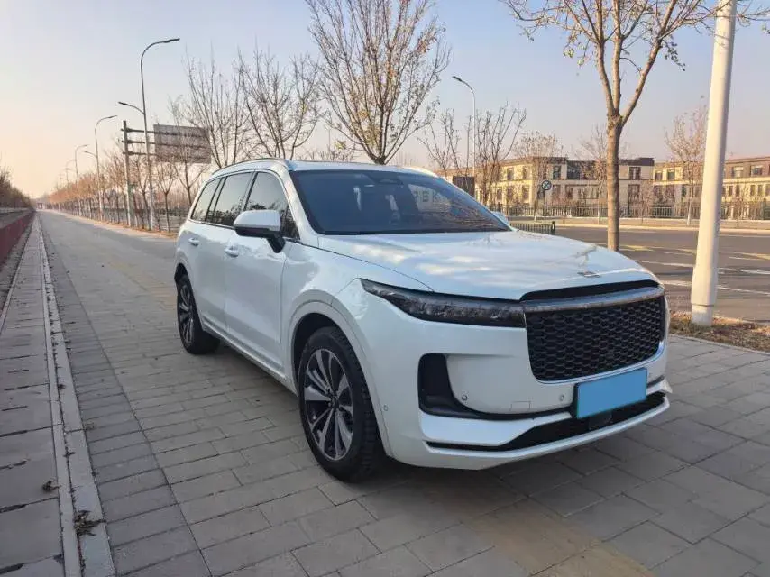 2021 LI ONE thumbnail 3