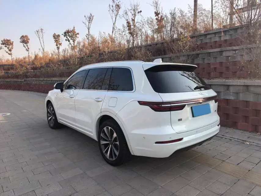 2021 LI ONE thumbnail 4