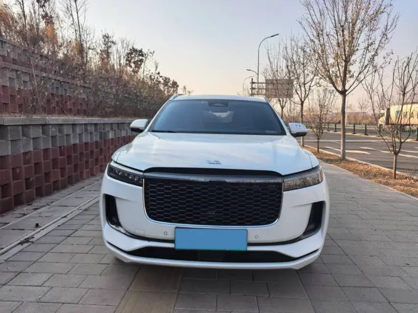 2021 LI ONE thumbnail 2