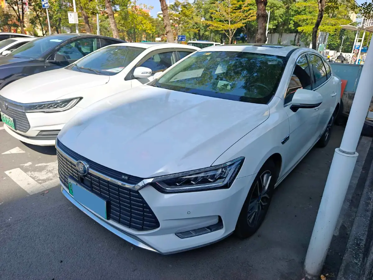 2019 BYD Qin Pro BEV 56.4KWH