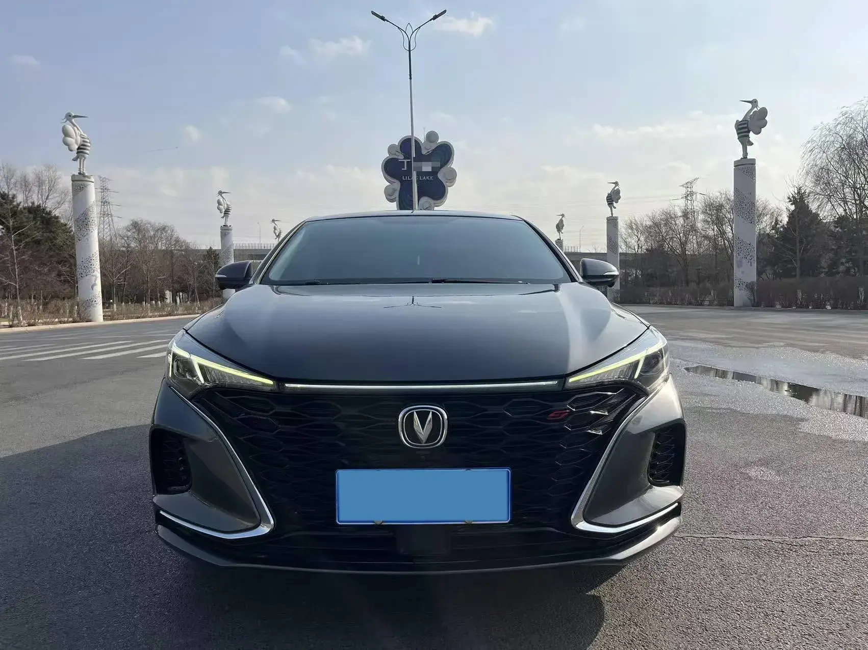 2020 CHANGAN EADO thumbnail 3