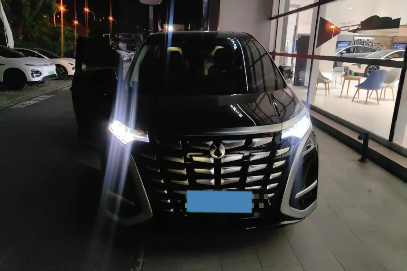 2024 DENZA D9 thumbnail 2