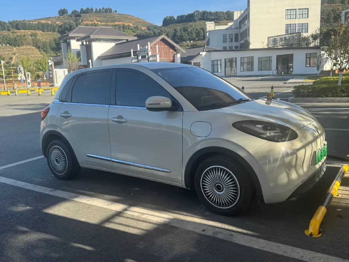 2023 WuLing BinGuo BEV 31.9KWH,autocango,china used car exporter,china ev exporter,chinese used car exporter,chinese used ev exporter