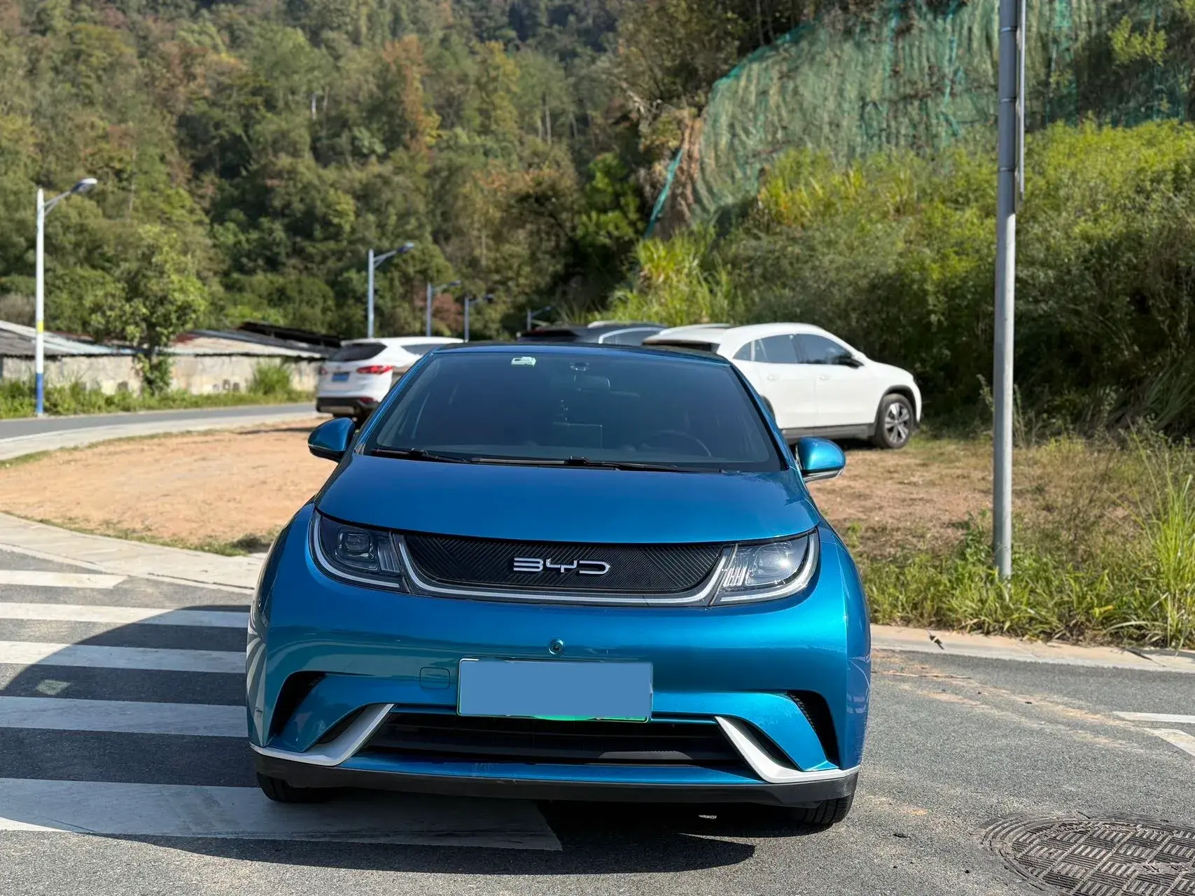 2021 BYD DOLPHIN thumbnail 2