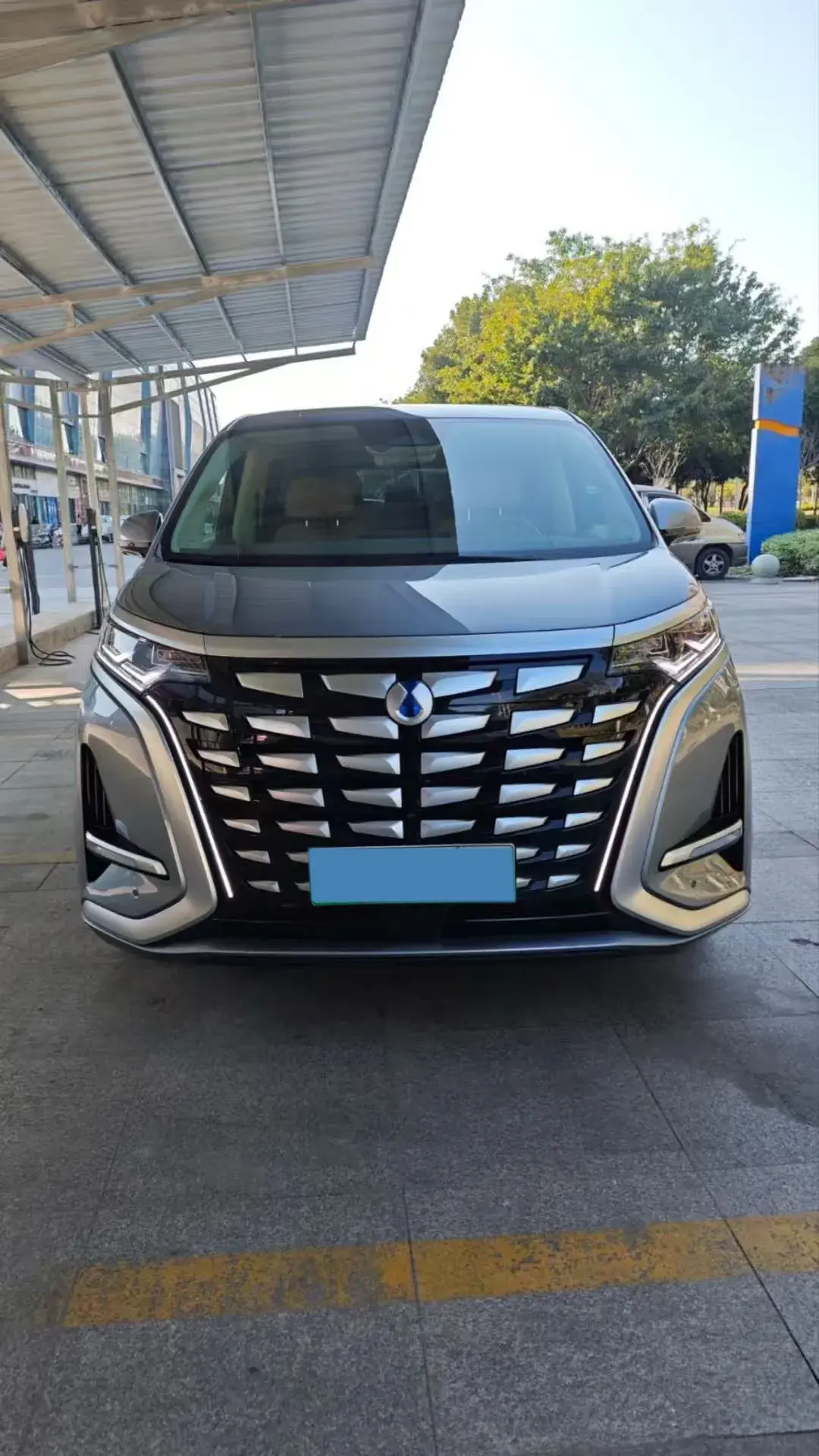 2022 DENZA D9 thumbnail 2