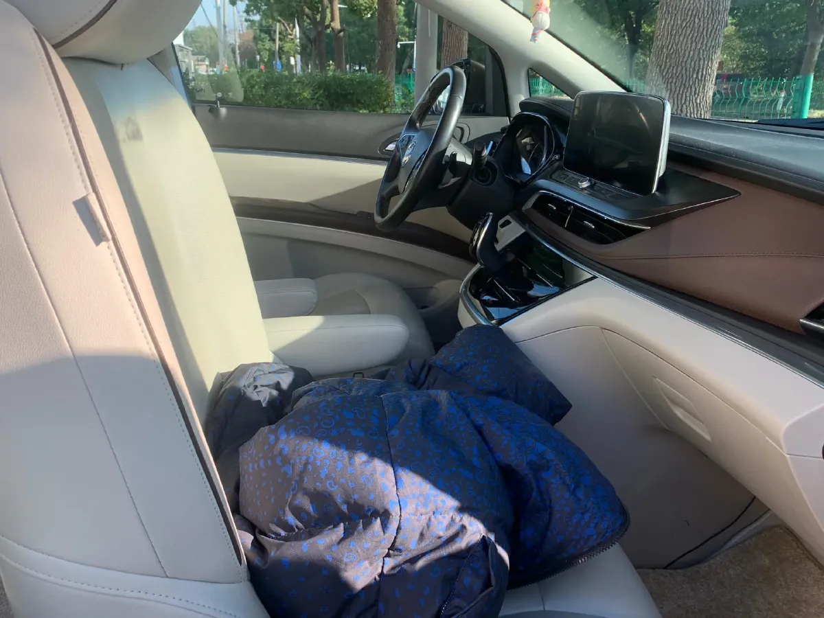 2021 Buick GL8 2.0T 237HP L4 9AT,autocango,china used car exporter,china ev exporter,chinese used car exporter,chinese used ev exporter