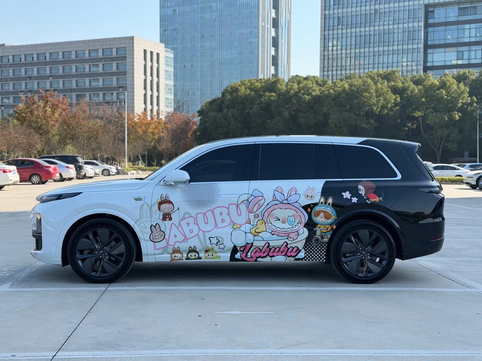 2024 LI L9 thumbnail 3