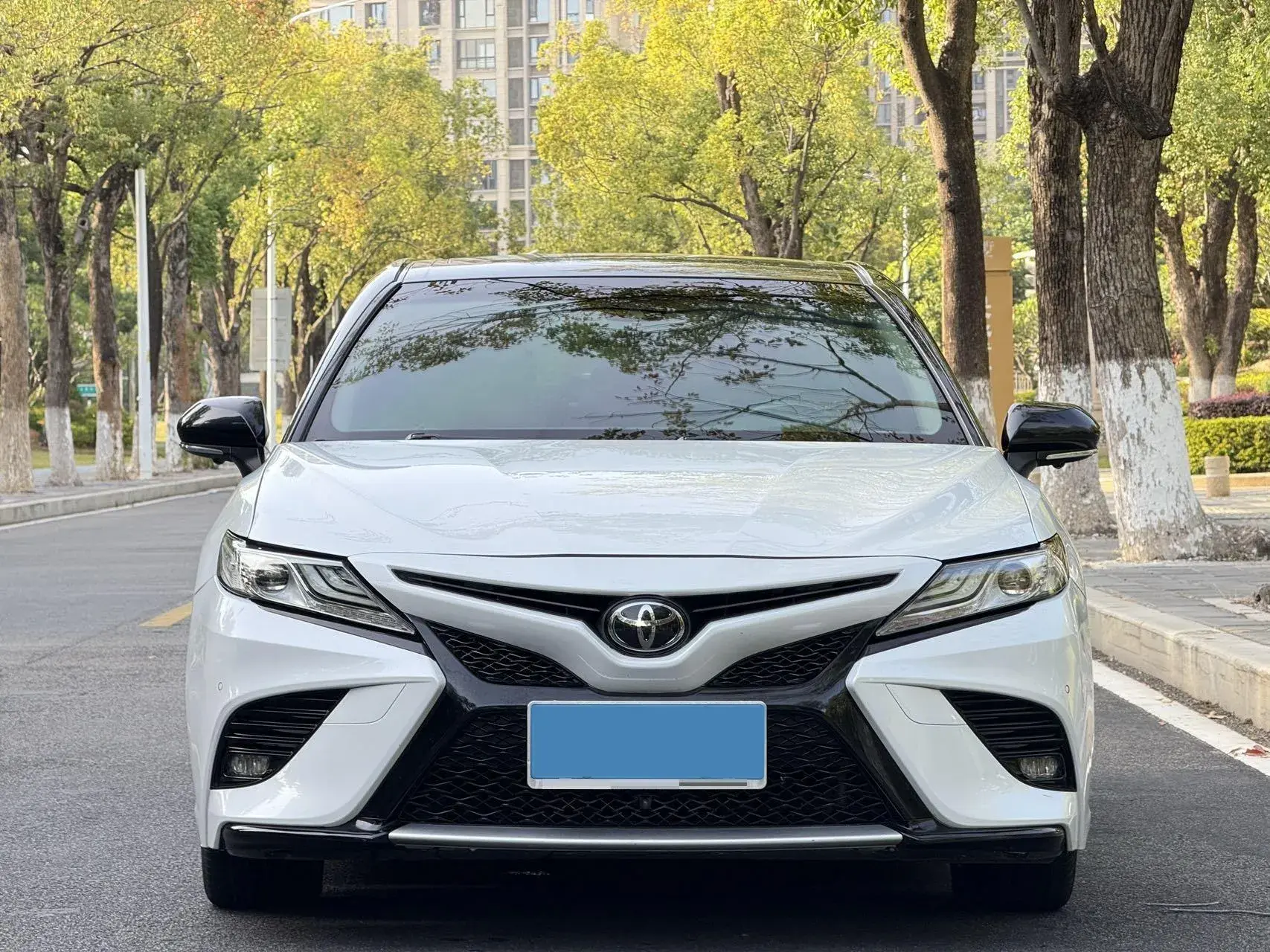 2019 TOYOTA CAMRY thumbnail 2